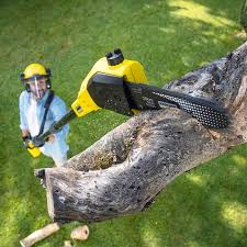 Best Stump Grinding and Removal  in National Park, NJ