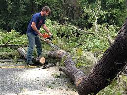 Best Lawn Grading and Leveling  in National Park, NJ