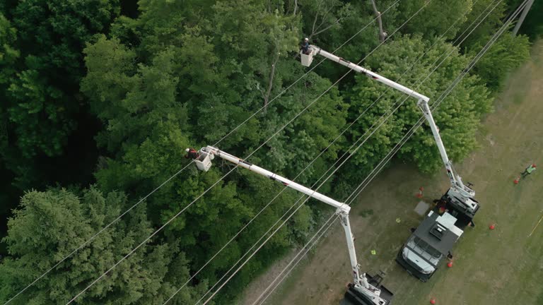 Best Aeration Services  in National Park, NJ